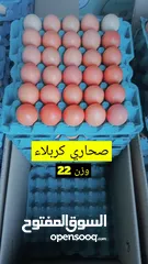  4 بيض عراقي طازج