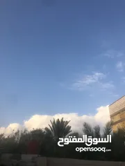  1 قطعة ارض ملك صرف بالمعقل