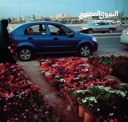  4 شفر افيو 2009