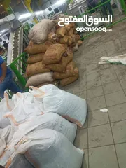  3 زيت زيتون بلدي بعل رومي زيت لعام وزيت سنه زيتون اخضر واسود