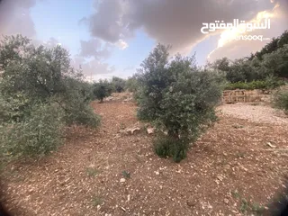  5 للبيع: أرض بإطلالة خلابة وموقع هادئ في دابوق من المالك مباشرة فيها منسوب