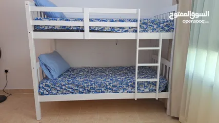  7 One month old bunk beds