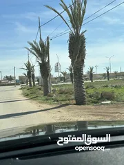  3 مطلوب قطع اراضي بالجيزه على شارع النخيل