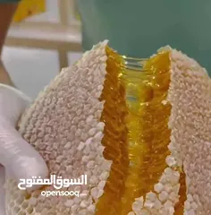  17 عسل طبيعي بلدي اصلي مضمون ومكفول 100٪؜ من مناحلنا