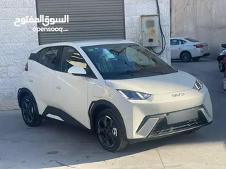  2 اقل سعر دفعه واقساط Byd سيجال 2024 شكل 2025