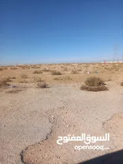  6 ارض للبيع شرق جامعة العلوم والتكنولوجيا