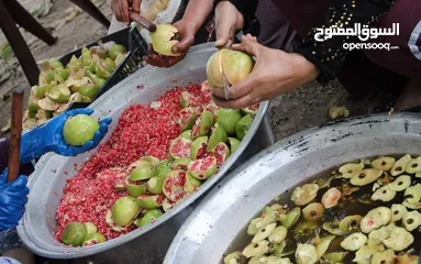  9 شروة دبس رمان بلدي للبيع