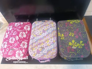  1 حقائب تسوق