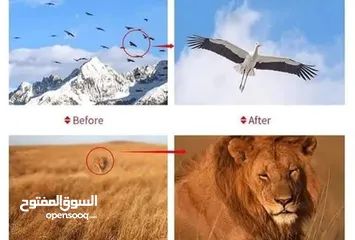  13 منظار عين النسر 40×60 يمكن استخدامه للهاتف و للصيد والرحلات والسفاري  35 دينار