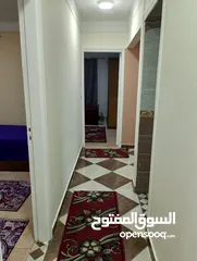 12 شقة فندقية مفروشة للإيجار اليومي بالإسكندرية