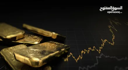  7 مطلوب ممول استثماري جاد لمشروع ناجح رأس المال بإسم الممول ، يوجد ضمانات