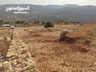  3 قطعة أرض مميزة في مزارع النوباني