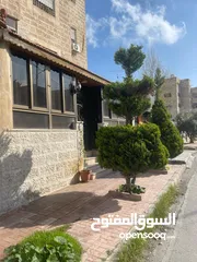  10 بسعر لقطه مع فرصه استثماريه  شقة ارضيه مع صالون ستاتي (ربوة عبدون )