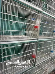  1 غرفة طيور كامله للبيع اقرأ الوصف سعر قابل للتفاوض بشكل بسيط