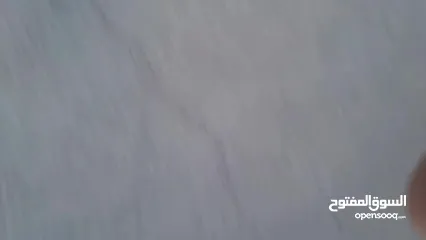  5 بيت للبيع طابقين مع مخزن