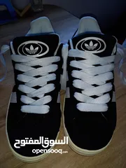  3 adidas campus جديد يتانمي نمرة 42 سبب  البيع كبير