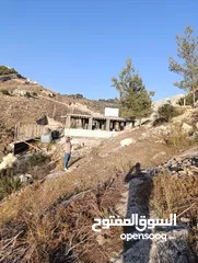  4 ارض للبيع صالحة للاستثمار والبناء وزراعة