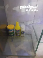  5 حوض سمك واسماك للبيع