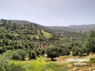  4 أرض مميزة جداً لعمل شاليه استثماري أو مزرعة خاصة أو مزرعة تجارية يوجد بها قناة ماء من المالك مباشرة