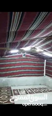  10 خيمه كتان سعودي نظام خليجي