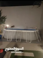 6 مسبح انتكس الامريكي بسعر خيالي