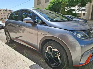  10 BYD dolphin 2023