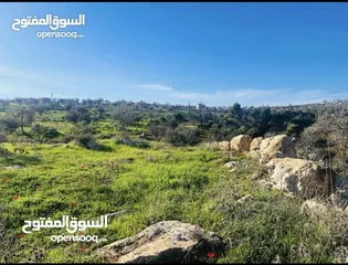  2 ارض زراعيه للبيع في اجمل مناطق العالوك
