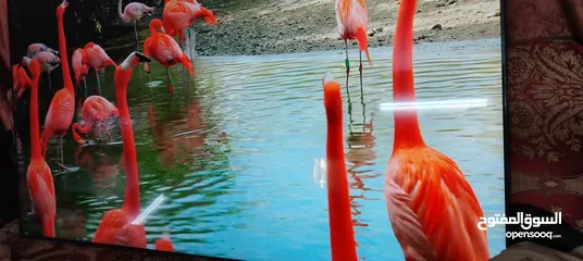  4 شاشه سامسونج 65 سمارت