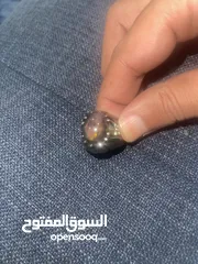  4 خاتم اوبال مطلي راديوم