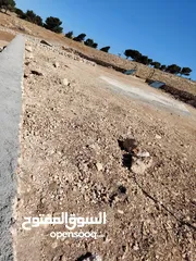  3 ارض للبيع جرش عنيبه قطعه مميزه جدا