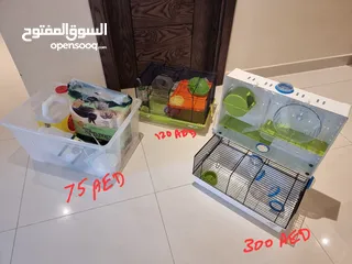  1 Hamster Cages with accessories