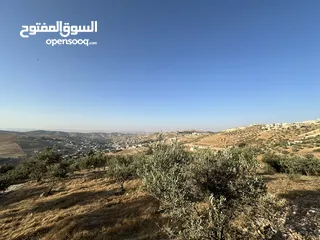  6 قطعة ارض للبيع ( الإطلالة الأجمل في منطقة بيرين)  واصل جميع الخدمات ( على قمة ام رمانة )