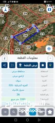  1 مزرعه زيتون للبيع في جرش سوف منطقه الظهره