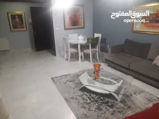  1 شقق مفروشة للكراء