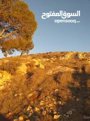  4 أرض للبيع من المالك مباشرة الخليل دورا