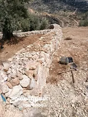  6 عمارة اراضي وبناء السناسل