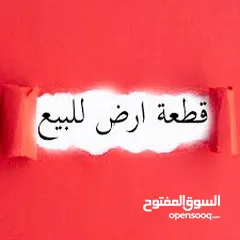  1 ارض للبيع  في الطنيب