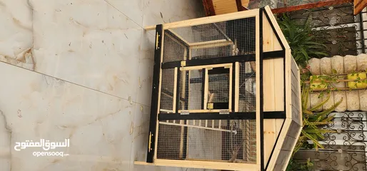  4 مقصورة الطائر الفاخرة