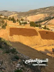  11 ارض للبيع جرش المجدل راس دبوس مطله على سد الملك طلال مستويه مستصلحه بسعر مغري
