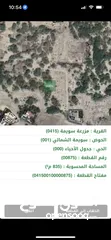  11 البحر الميت استثمارك الآمن للمستقبل (الكرنيش مباشرة على البحر، الجلد، العظيمي،  مقابل قصر المؤتمرات)