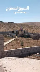  20 فيله للبيع