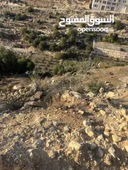  14 ارض واد الزرزير مطله وهادئه