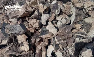  9 حطب زيتون للبيع