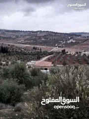  13 لقطه مزرعه مع بيت ريفي 48 الف قابل للتفاوض منطقه ريف جرش