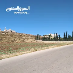  4 ارض 2 دونم سكن أ أخضر في مرج الحمام خربة خليفه قرب سيدة السلام والشويفات