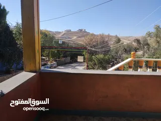  4 مزرعه للايجار في حلتها الجديده/ طريق ياجوز
