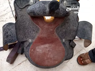  1 سرج وكاله أمريكي للبيع