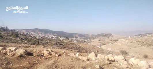  3 الكمشة شمال شفابدران