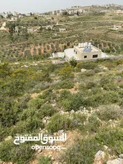  3 للبيع قطعة ارض استثمارية في ابو قش