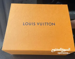  8 Brand New Unused Louis Vuitton Original Handbag with LV Box